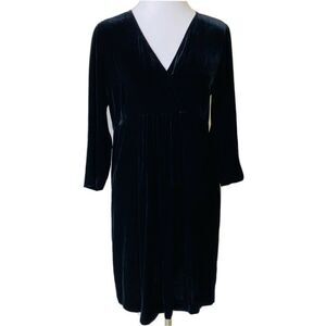 Eileen Fisher Velvet Dress Womens Small Little Black Dress Party Dress V-Neck